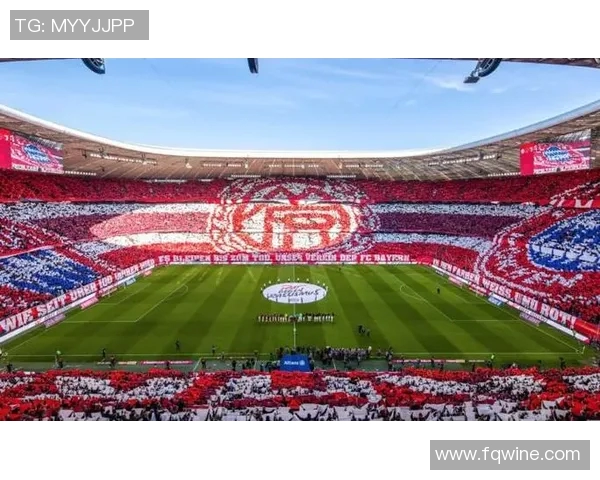 汉堡主场大胜慕尼黑1860，德甲第七位置稳固！