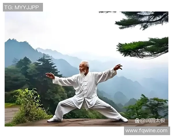 探索功夫太极拳的奥秘与魅力，感受传统武术的深厚文化底蕴与身心合一的智慧