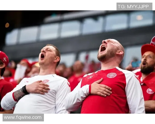 欧洲杯精彩对决：比利时憾平丹麦，赛场风云变幻